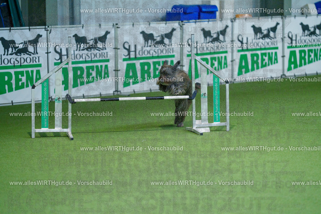 @allesWIRTHgut_Tierfotografie - www.allesWIRTHgut.de - 2604251004-7R509567 | Professionelle Tierfotografie in Mönchengladbach von Daniel Wirth (allesWIRTHgut). Liebevolle & natürliche Bilder von Hunden & Katzen für unvergessliche Erinnerungen.