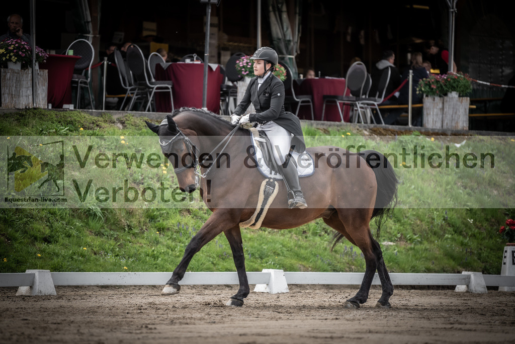 DSC_2946 | equestrian-live-com