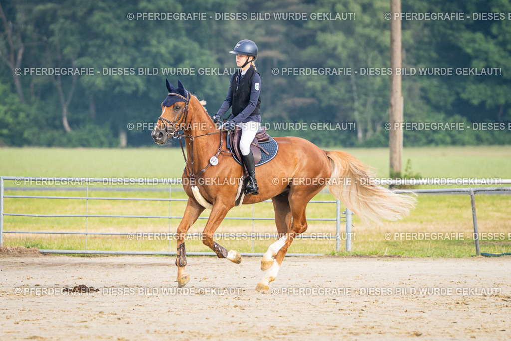 DSC07903 | Pferdegrafie