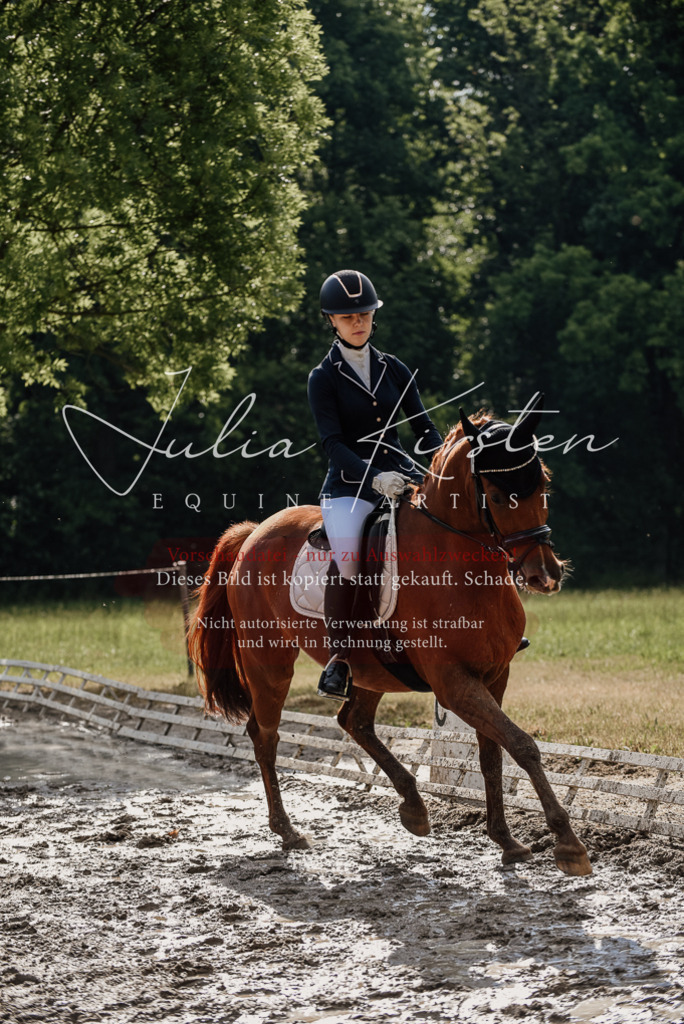 DSC_8891 | Pferde- und Turnierfotografie in Westsachsen. Pferdeportraits, Auftragszeichnungen und intuitive Kunst.