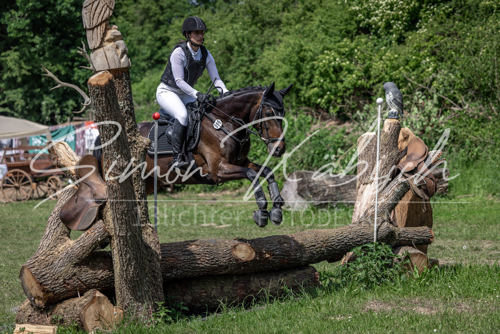 20260523-_3LI9032 | Tierfotografie Pferde, Hunde, Katzen, Haustiere.
Turnierfotografie Reitturniere, Reiten, Springreiten, Dressur in Hanau, dem Main-Kinzig-Kreis und dem Rhein-Main- Gebiet um Frankfurt