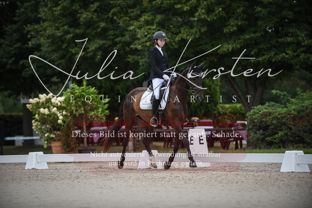 DSC_7924 | Pferde- und Turnierfotografie in Westsachsen. Pferdeportraits, Auftragszeichnungen und intuitive Kunst.