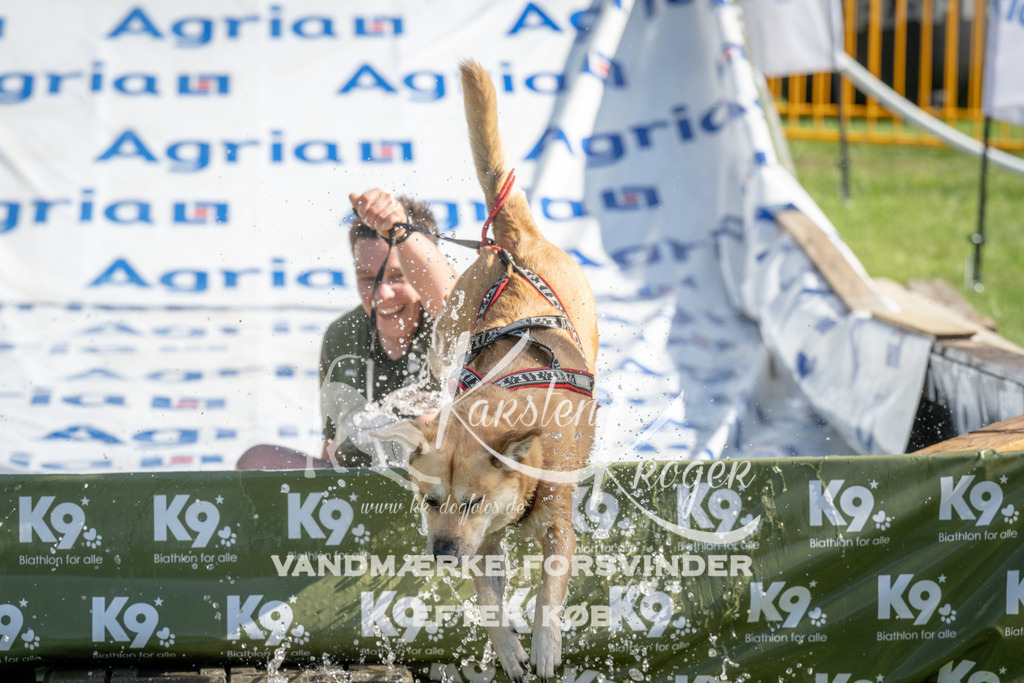 1035_ZZ99146 | kk-dogfotos