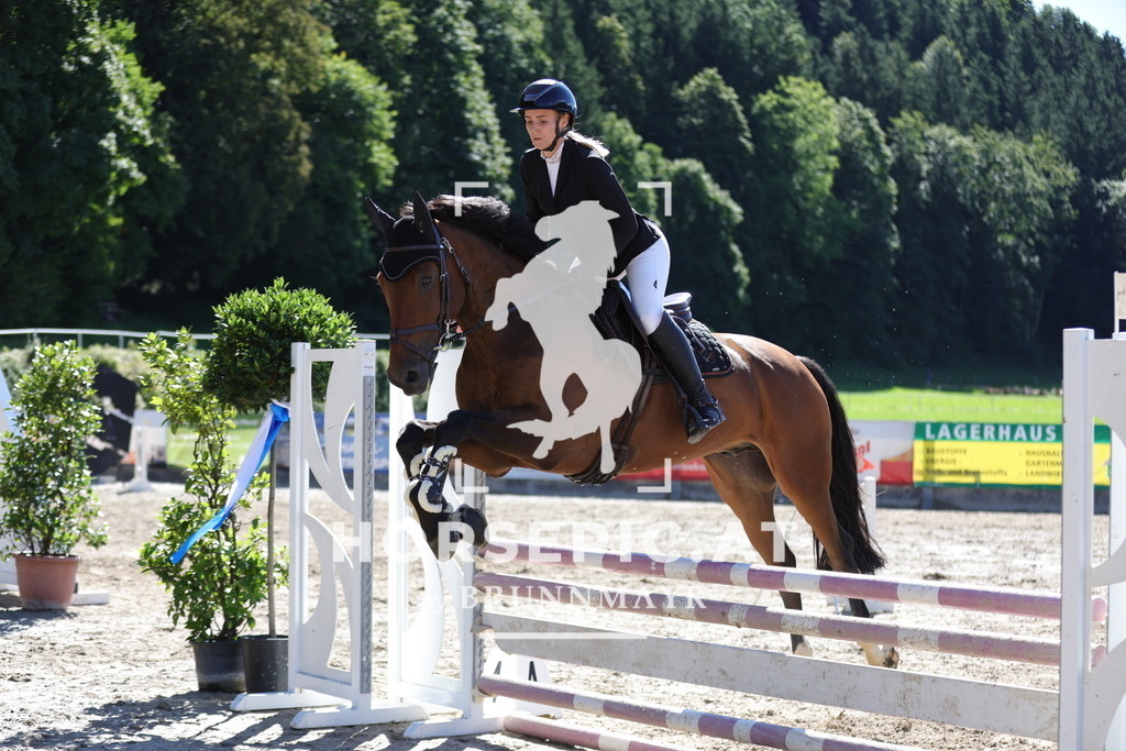 0P6A5302 | Willkommen bei Brunnmayr - Design & Fotografie – Ihrem Spezialisten für Reitturniere und Pferdeveranstaltungen in Oberösterreich, Salzburg und Bayern! Seit über 17 Jahren sind wir leidenschaftlich dabei.