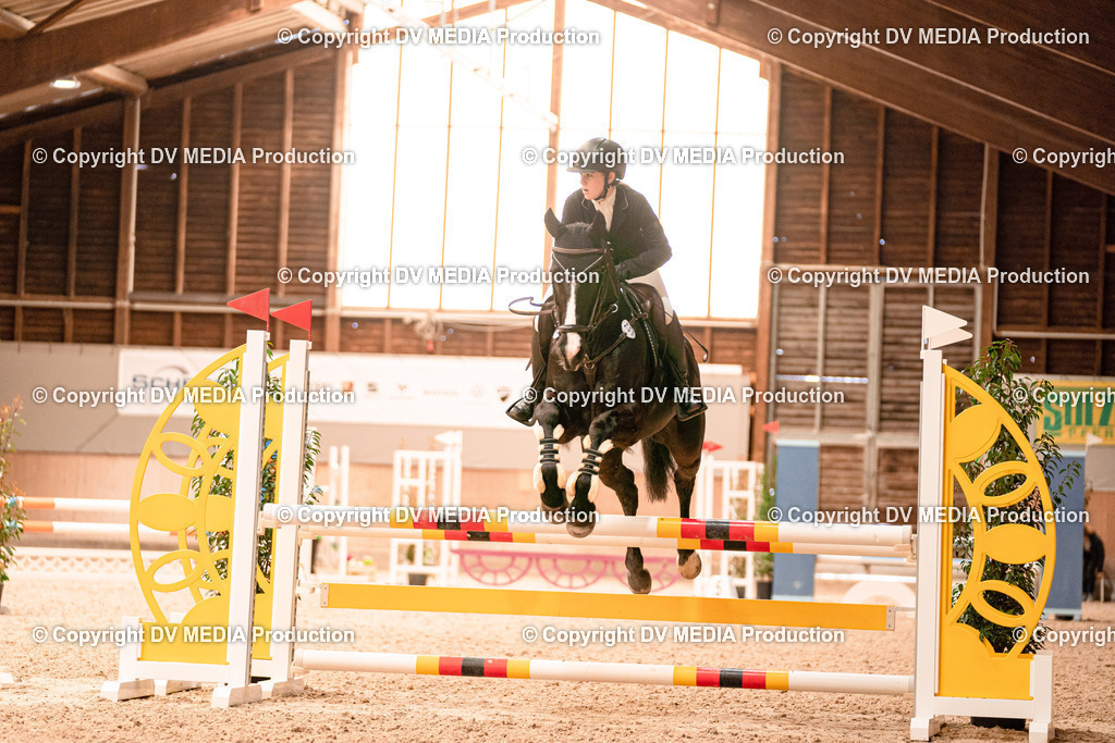 Springen Tag 2-418 | dv-media-shop - Realisiert mit Pictrs.com