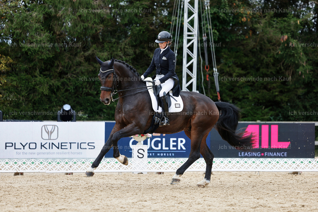 6-113-AMATUER-DRESSUR S_  -StoibPH-3623 | working equitationturnier fotograf videograf stoibphotography marixx film working equitation deutschland reitsport turnierfotografie eventfotografie equestrian events