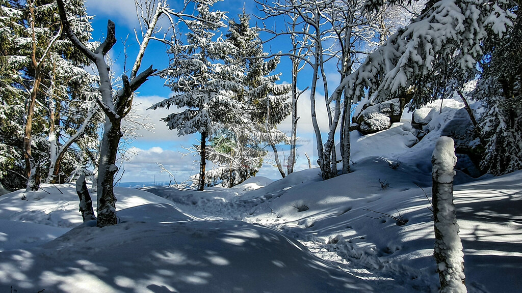 Platte Winter | Impressionen rund um Hochfranken - Frankenwald - Fichtelgebirge - Realisiert mit Pictrs.com