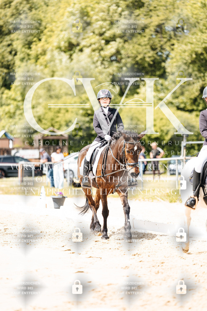 CK901903 | Turnierfotografie Pferdefotografie Trier Rheinland-Pfalz Pferdesport Reitsport Tierfotografie Sportfotografie Pferdevideo Pferdevideografie Equestrianvideography equestrianphotography  - Realisiert mit Pictrs.com