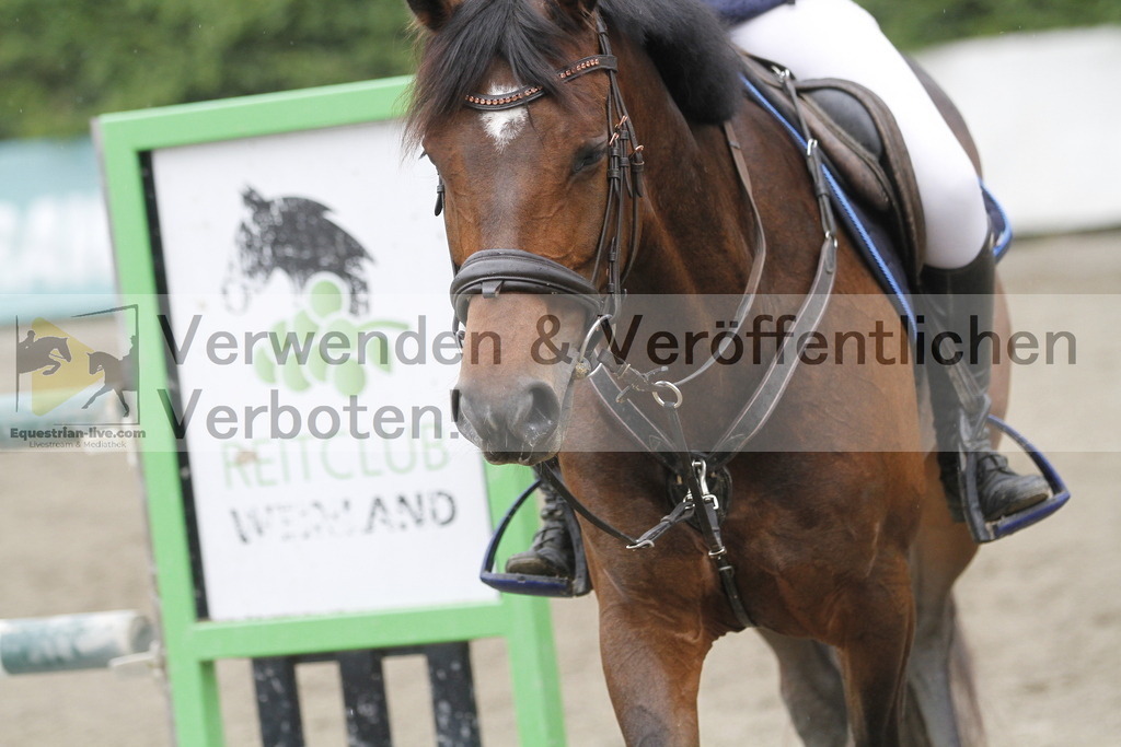 _MG_2193 | equestrian-live-com