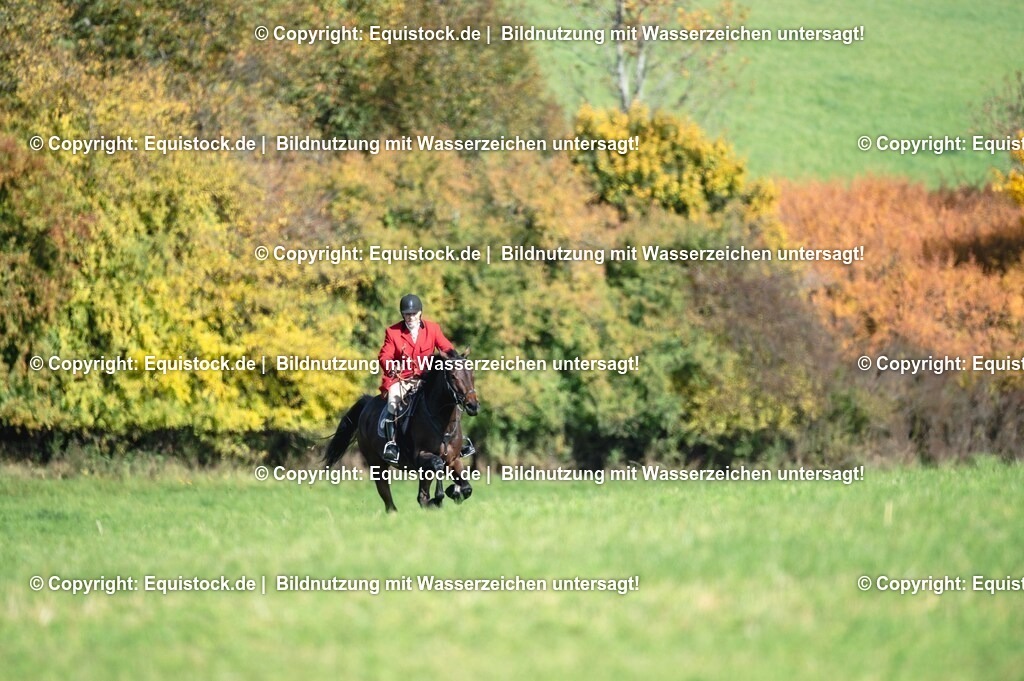 20251011_Jagd-Marbach_0407 | Foto: Thomas Hartig