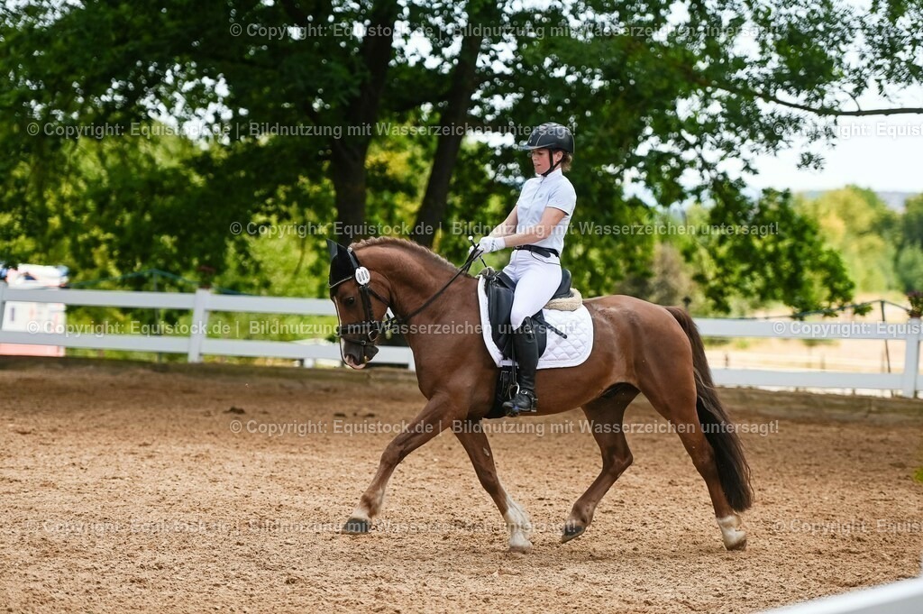 20230715_05_Dressurprüfung Kl.A++_0217 | equistock