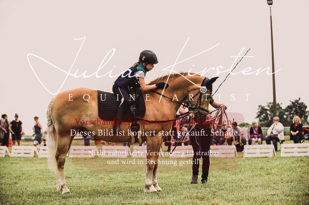 DSC_5345 | Pferde- und Turnierfotografie in Westsachsen. Pferdeportraits, Auftragszeichnungen und intuitive Kunst.