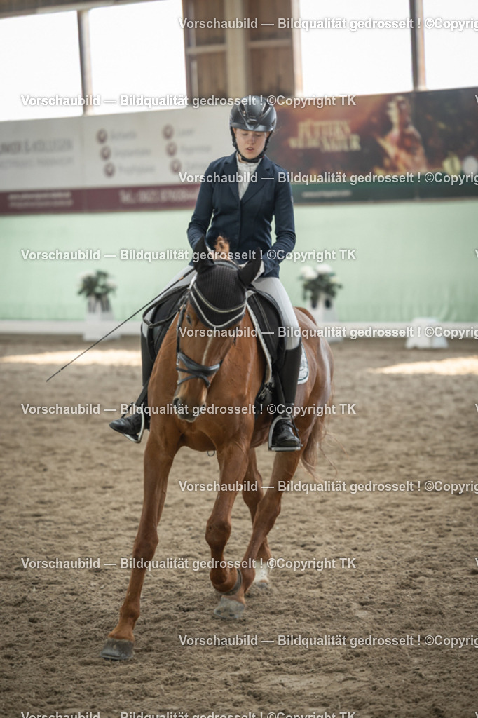 _D5A5759 | Emotionale Pferde- & People-Fotografie rund um Heidelberg, Leimen & Umgebung. Natürliche Fotos von Pferd, Mensch & Familie. Jetzt Termin sichern!