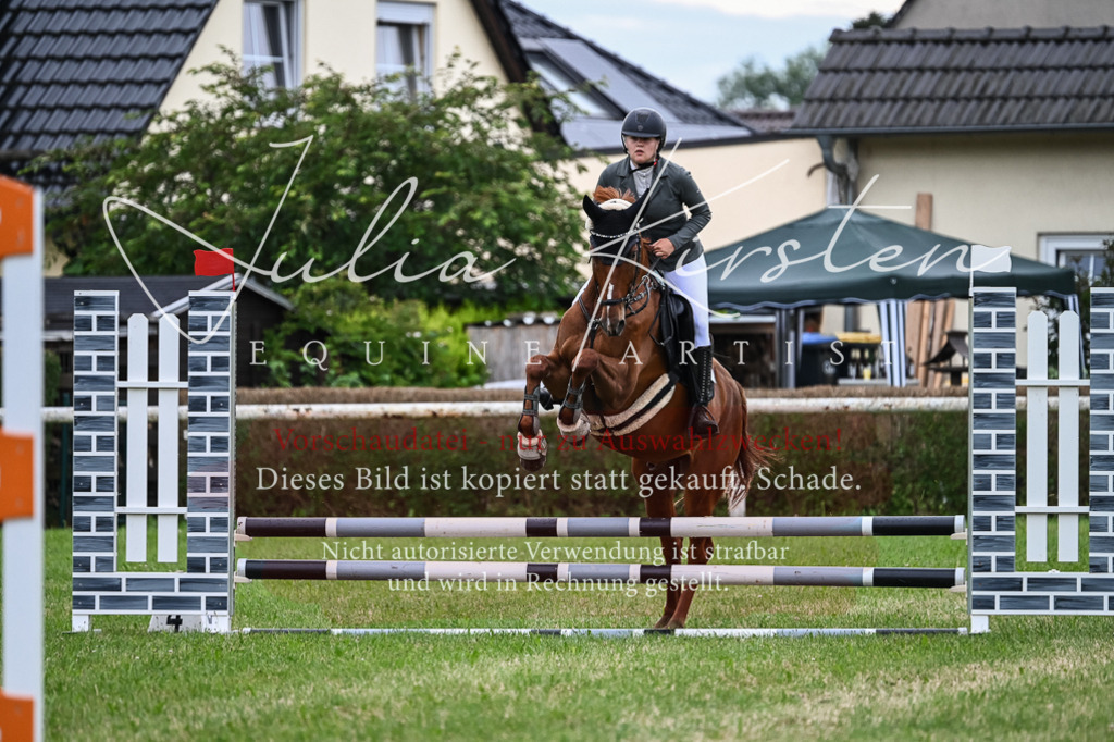 DSC_8446 | Pferde- und Turnierfotografie in Westsachsen. Pferdeportraits, Auftragszeichnungen und intuitive Kunst.