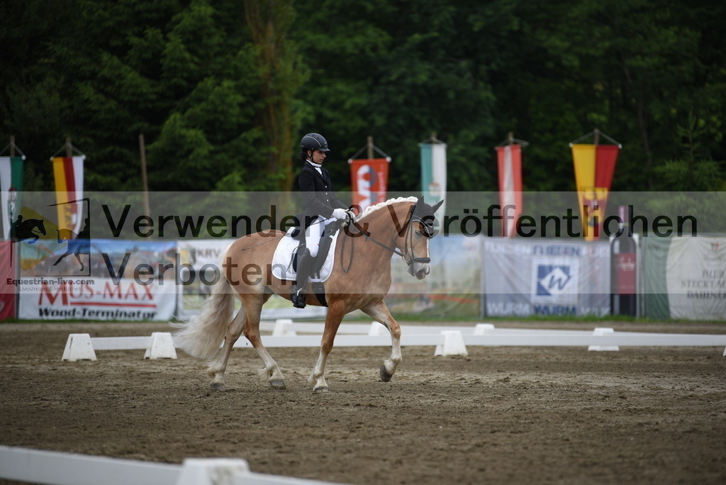 DSC_7931 | equestrian-live-com