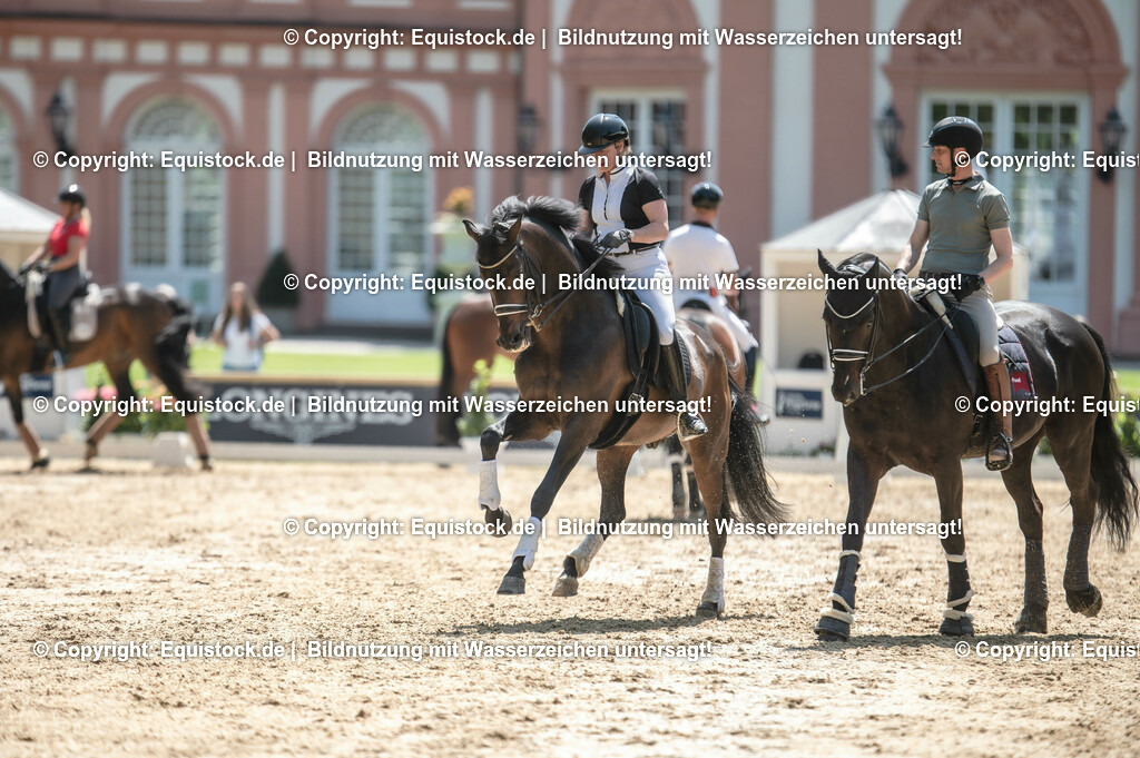 DSC_8038 | equistock