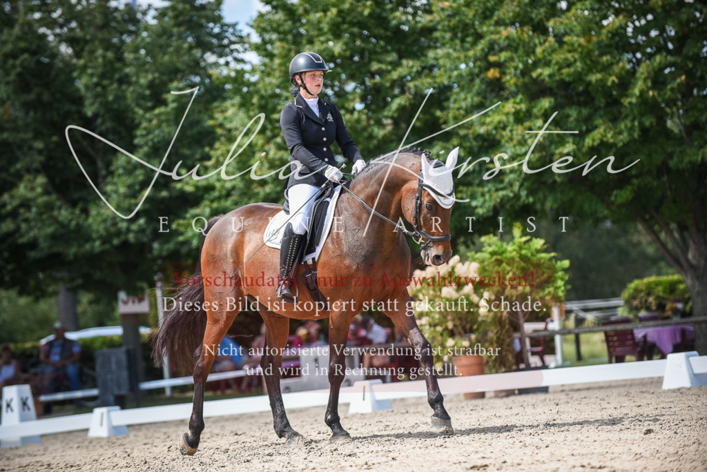 DSC_9314 | Pferde- und Turnierfotografie in Westsachsen. Pferdeportraits, Auftragszeichnungen und intuitive Kunst.