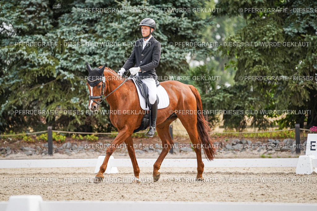 DSC01569 | Pferdegrafie