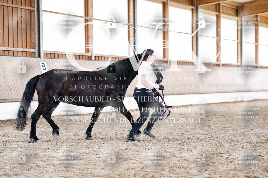 CK907948 | Turnierfotografie Pferdefotografie Trier Rheinland-Pfalz Pferdesport Reitsport Tierfotografie Sportfotografie Pferdevideo Pferdevideografie Equestrianvideography equestrianphotography  - Realisiert mit Pictrs.com