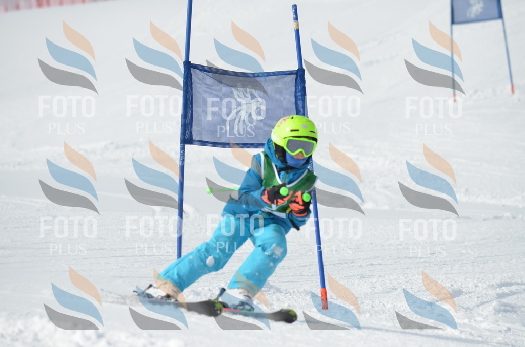 D8633 | holidayphoto