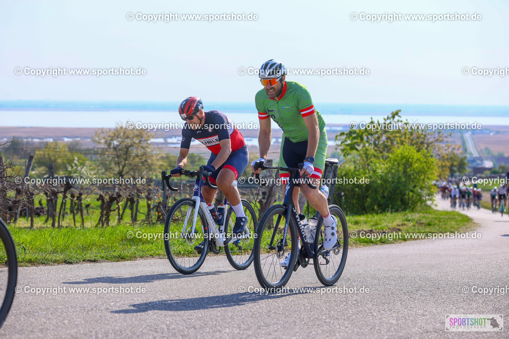 TRA_0897 | Neusiedlersee Radmarathon 2026@sportshot_your_pictrs #yourpictures#roadtowm2029 #nrm #neusiedlerseeradmarathon #neusiedlersee #neusiedlerseetourismus #burgenland #mörbisch #nrm26 #burgenlandtourismus #voglundco #poweredbyburgenlandtourismus #radsport #rad #marathon #ucigranfondo #visitburgenland #ucigranfondoworldseries