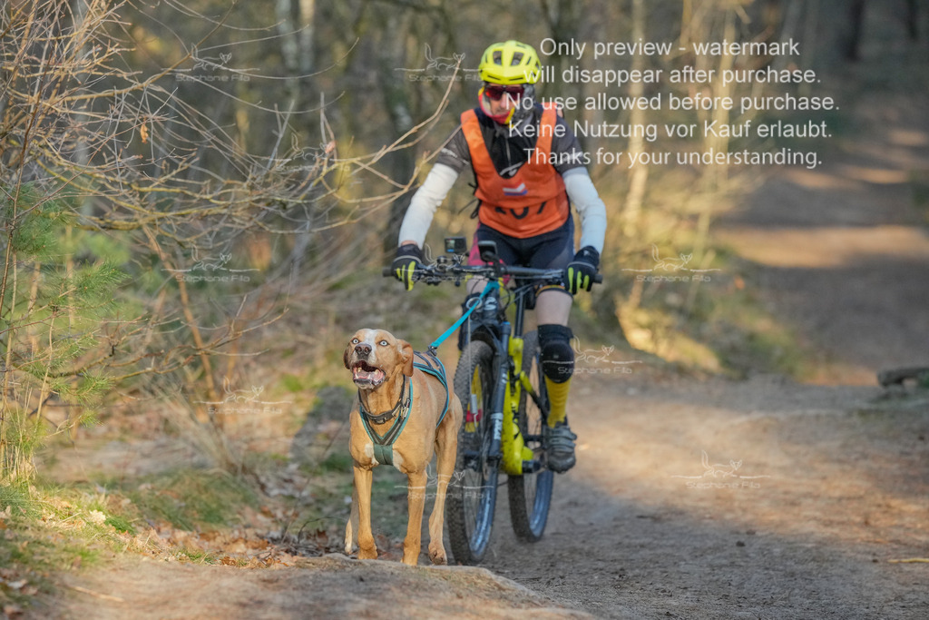 Sa_Bike-402 | stephaniefillaphotographie - Realisiert mit Pictrs.com