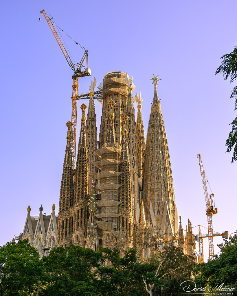Sagrada Familia in Barcelona | Bilder aus der Stadt Barcelona