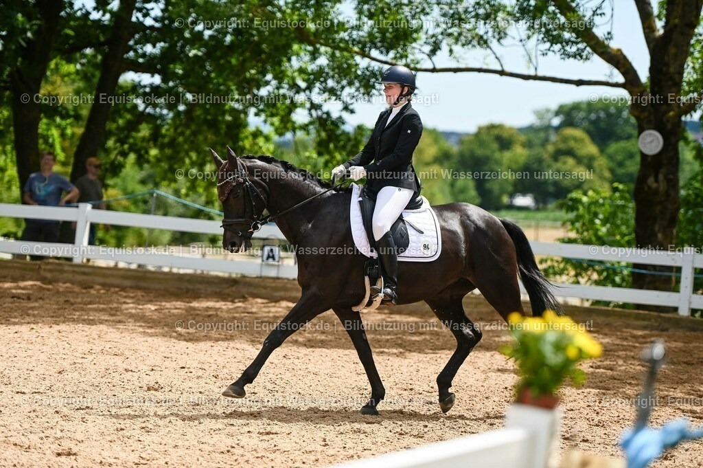 20230715_05_Dressurprüfung Kl.A++_0373 | equistock