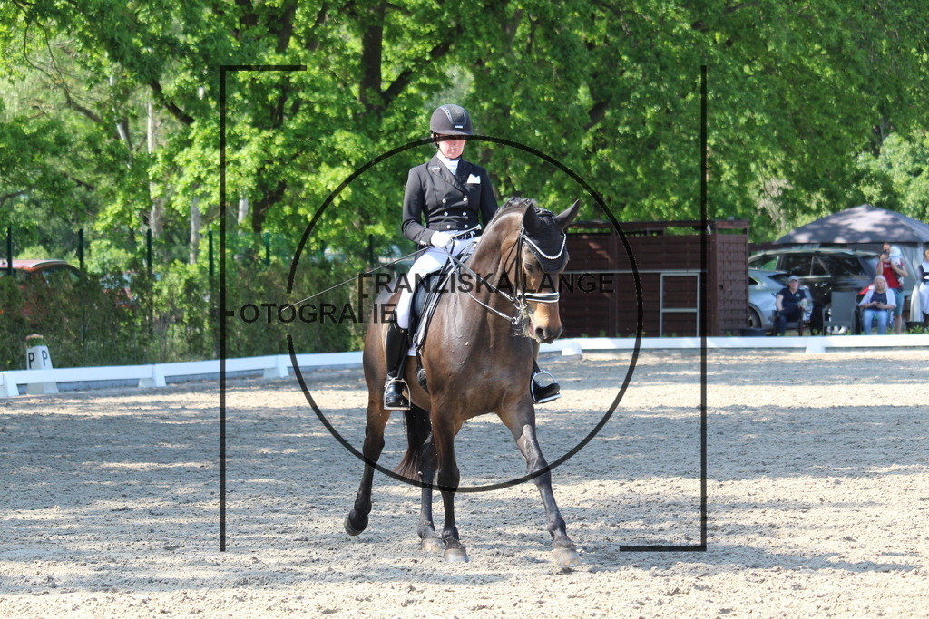 IMG_5463 | franziskalange - Realisiert mit Pictrs.com