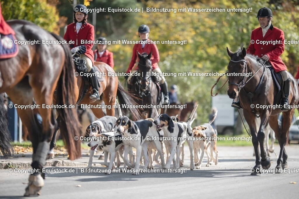 20251011_Jagd-Marbach_0186 | Foto: Thomas Hartig