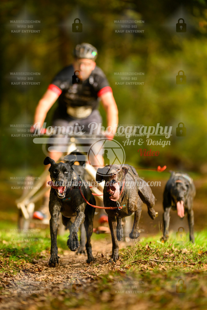MompixPhotography_20TSB_E1_Kart-6 | PayLife