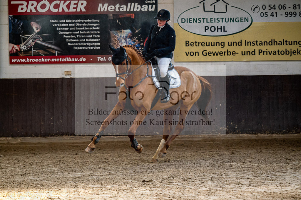 20240308-DOS_3779 | Entdecke hochwertige Reitturnierfotos von Foto Oger. Professionell, emotional und authentisch – jetzt Lieblingsmomente im Shop bestellen.Deutschlandweite Turnierfotografie. - Realisiert mit Pictrs.com