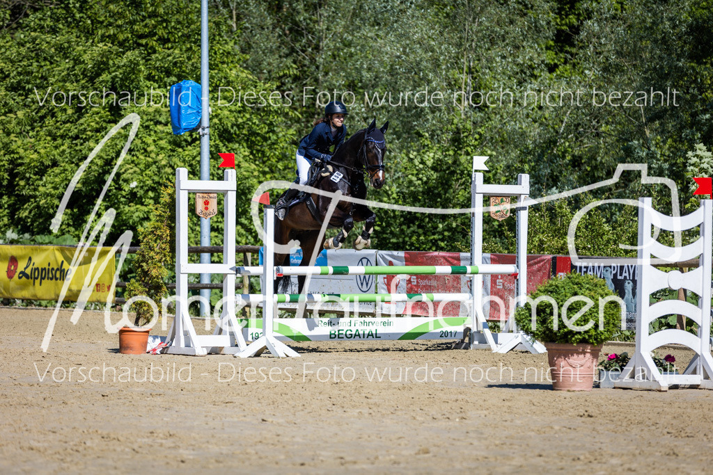 Donop24-A2Spr-123 | MomenTaufnahmen Pferdesportfotos