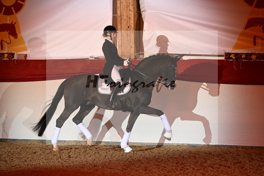 Bonds_Hoffrogge_3262933 | hf-fotografie - Realisiert mit Pictrs.com