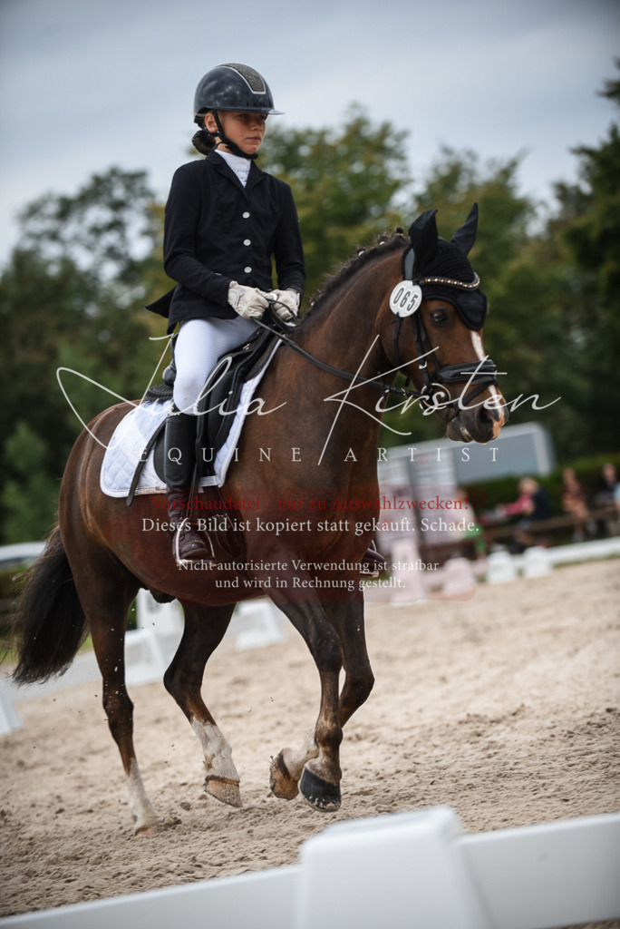 DSC_8175 | Pferde- und Turnierfotografie in Westsachsen. Pferdeportraits, Auftragszeichnungen und intuitive Kunst.