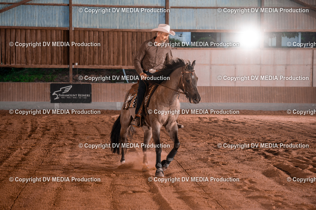 NE201462 | dv-media-shop - Realisiert mit Pictrs.com