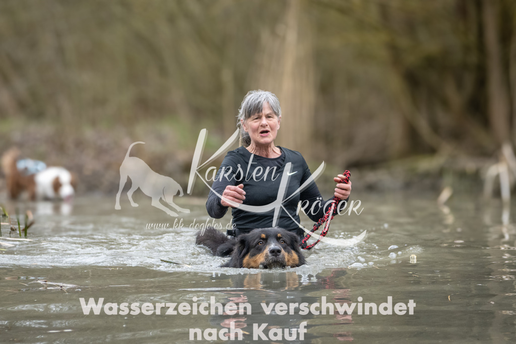 1101_ZZ94773 | kk-dogfotos