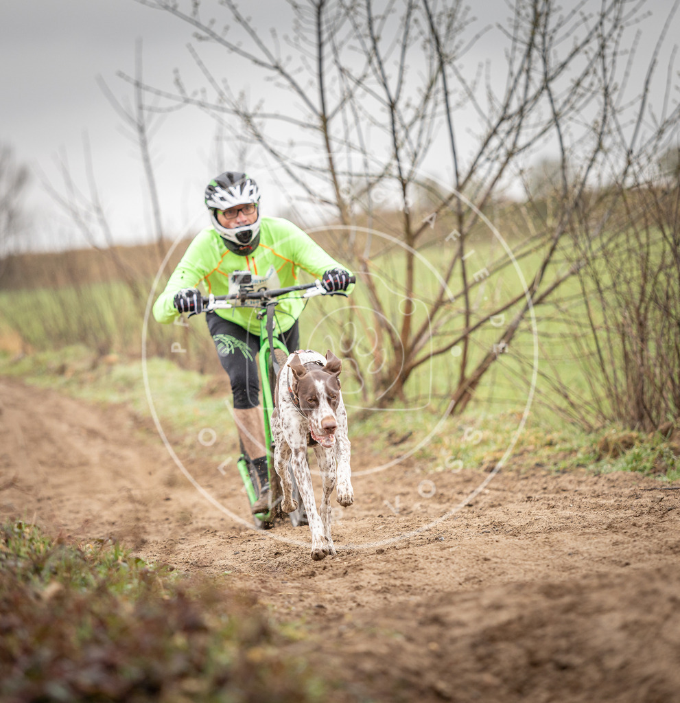 DV3A9230 | Hundefotografie, Tierfotograf, Pfotenfotografie, Fotoshooting Hund, Hunde Portrait, Hundesport, Hundeportraits, Heideshooting, Hunde, Sportfotograf, Hundefotograf, Turnierhundsport, THS,  - Realisiert mit Pictrs.com
