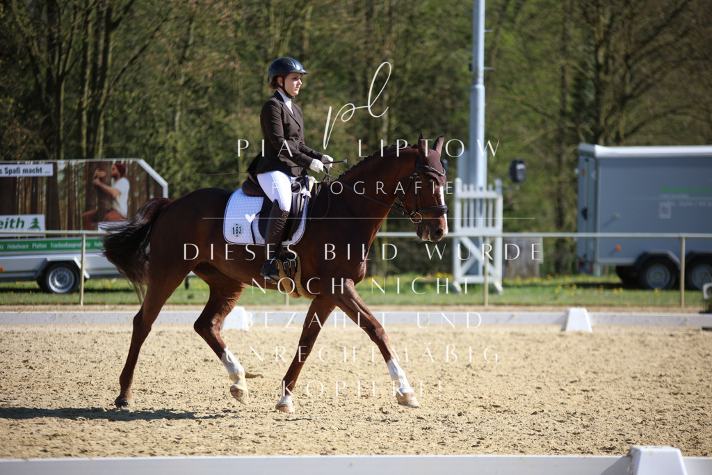 IMGT8597 | pl-fotografie