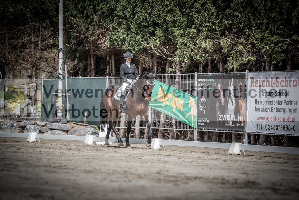 DSC_2226 | equestrian-live-com