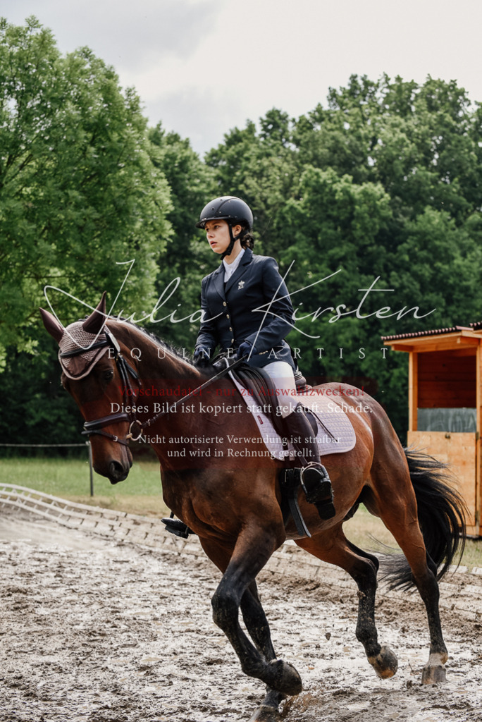 DSC_9577 | Pferde- und Turnierfotografie in Westsachsen. Pferdeportraits, Auftragszeichnungen und intuitive Kunst.
