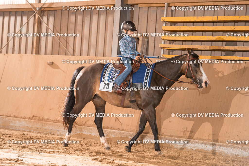 Losheim Tag 2-346 | dv-media-shop - Realisiert mit Pictrs.com