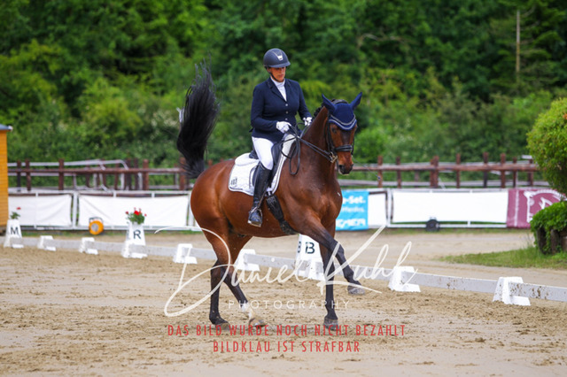 DKP47534 | Turniersportfotografie; Pferdefotografie; Dressurfotografie