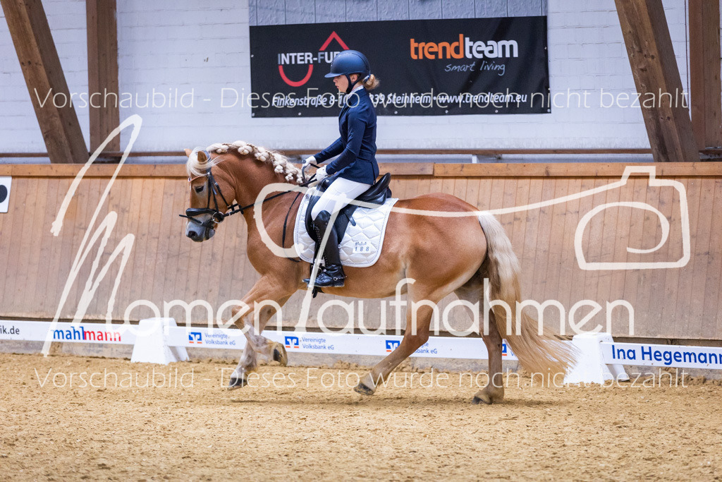 Sth-A-Dre-2St-029 | MomenTaufnahmen Pferdesportfotos