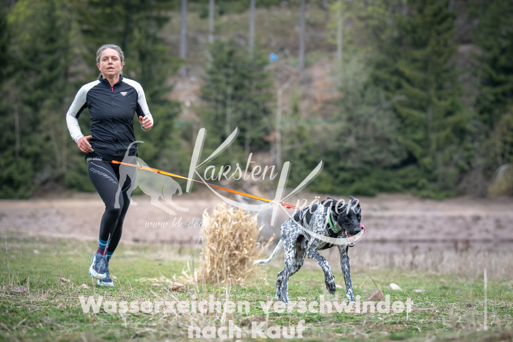 1810_ZZ94380 | kk-dogfotos