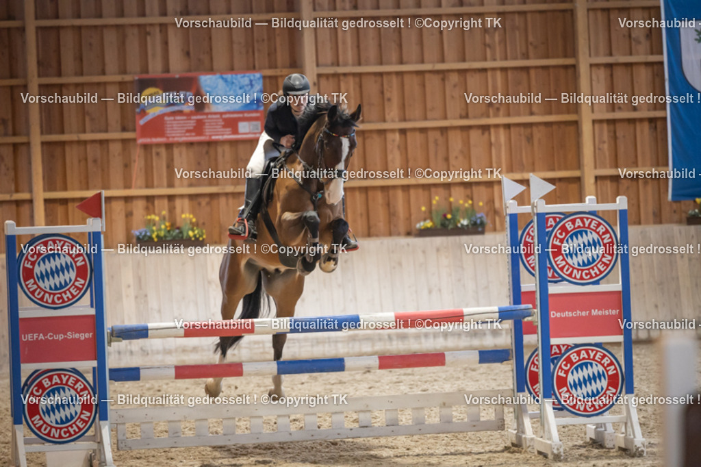 _D5A8673 | Emotionale Pferde- & People-Fotografie rund um Heidelberg, Leimen & Umgebung. Natürliche Fotos von Pferd, Mensch & Familie. Jetzt Termin sichern!