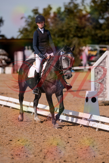 2026_10_03_Siefer-Hof_120028_Z81_02192360 | Professionelle Reitsport-, Turnier- und Eventfotografie von Robert Broda. Galerien mit ausgewählten und bearbeiteten Bildern direkt online ansehen und bestellen.