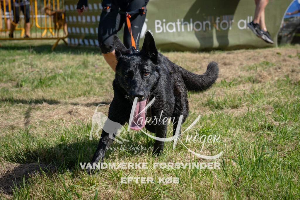 1101_ZZ90179 | kk-dogfotos