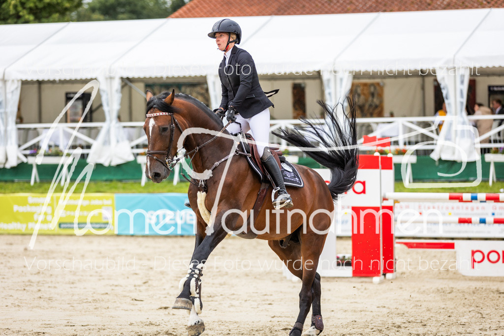 BHO-2PhSpr-M-5-2317 | MomenTaufnahmen Pferdesportfotos