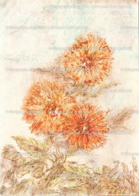 Asterngruß Variation 36 | Zeichnung von Vera Zschecked exclusiv auf titusgraphy.eu - Realisiert mit Pictrs.com